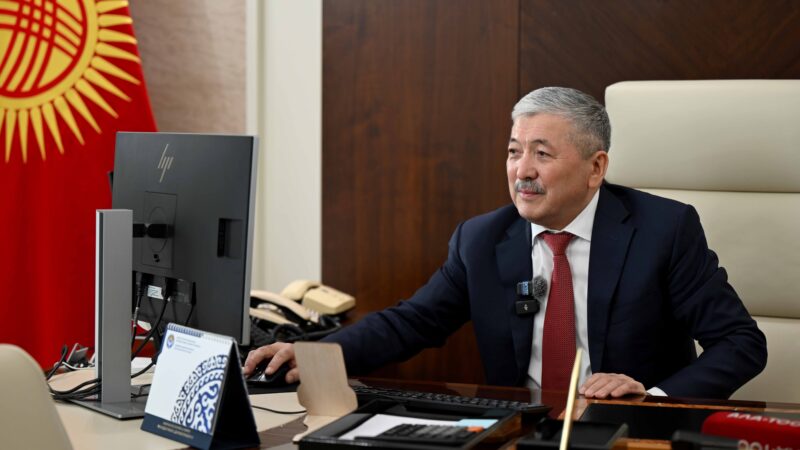 Касымалиев Баткен жана Жалал-Абаддагы селдин кесепеттерин талкуулады