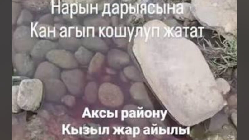 Дарыяны булгаган мал союлчу жай жабылып, заттары ташталган жер көмдүрүлдү