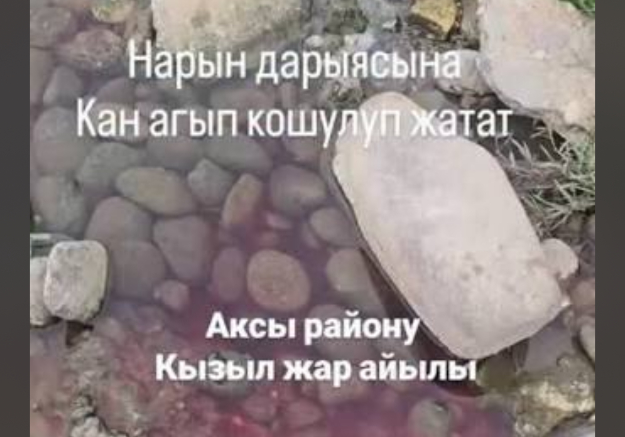 Дарыяны булгаган мал союлчу жай жабылып, заттары ташталган жер көмдүрүлдү
