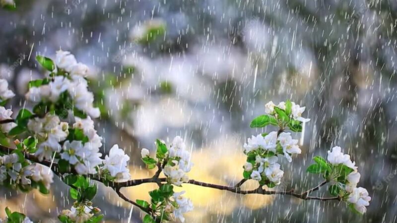 Ушул мүнөт, ушул көз ирмемдер эч качан кайталанбайт. Күнүңүз жакшы маанайда өтсүн, окурман!