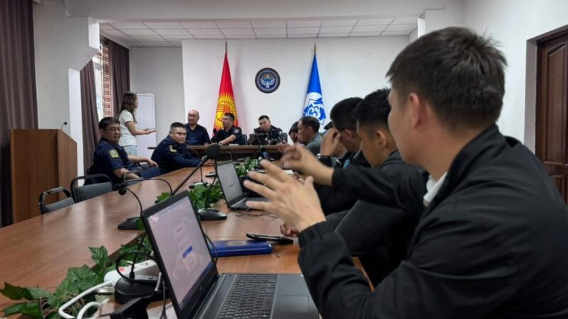 Эми жер казуу үчүн уруксат кагазды онлайн форматта ала аласыз
