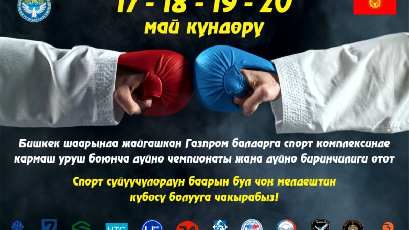 Эл менен ачык жолугушуу. Шаар тургундарынын көйгөйлөрү