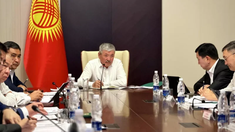 Өкмөт күйүүчү майды түз субсидиялоо маселесин караштырууда