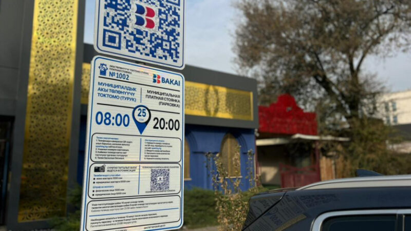 Унаа токтотуу үчүн акы төлөбөгөндөргө айып пул салынат