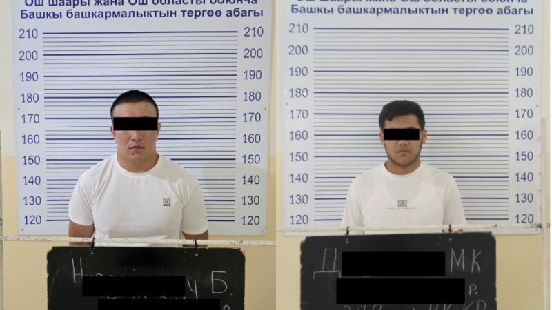 УКМК мыйзамсыз миграциянын эл аралык каналына бөгөт койду