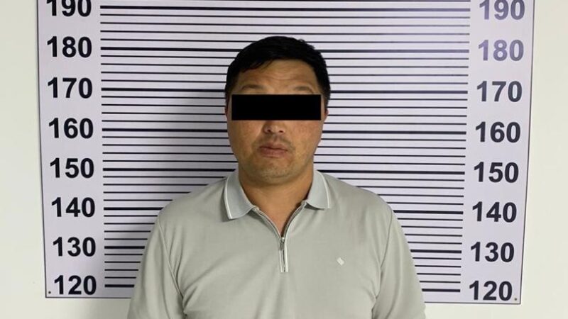 Таласта токой чарба тармагындагы коррупциялык схема аныкталды