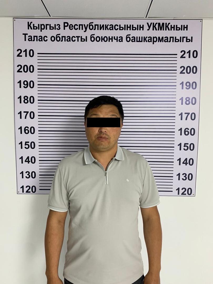 Таласта токой чарба тармагындагы коррупциялык схема аныкталды