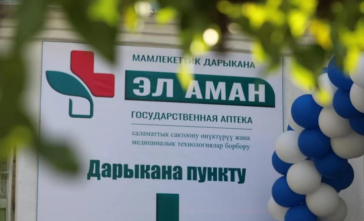 Бишкекте жеңилдетилген дары-дармек берүү тартиби өзгөрөт
