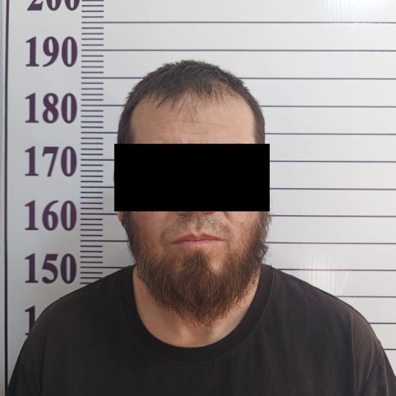 Чек арадан мыйзамсыз өтүүгө аракет кылган Өзбекстандын жараны кармалды