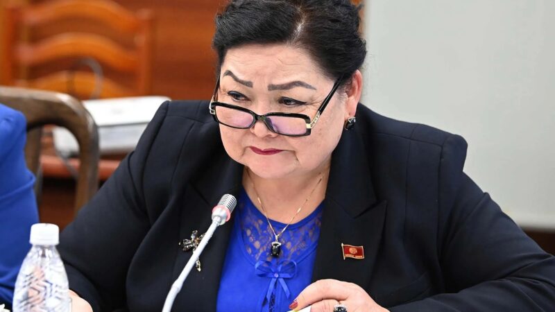 Надира Нарматова: “Өлкөнүн өнүгүшү үчүн ынтымак, биримдик жана мыйзам үстөмдүгү керек”