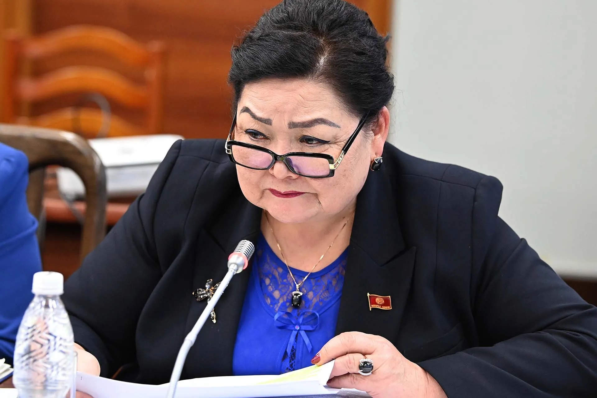 Надира Нарматова: “Өлкөнүн өнүгүшү үчүн ынтымак, биримдик жана мыйзам үстөмдүгү керек”