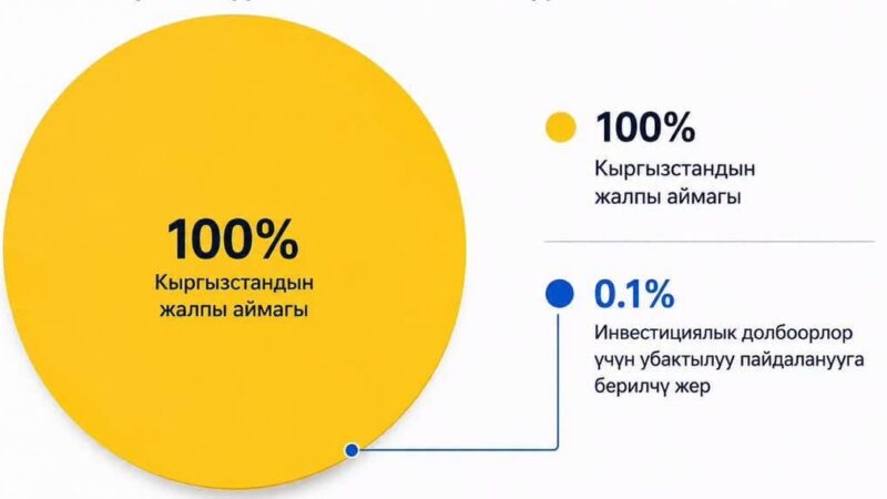 Президент: Инвестициялык долбоорлор үчүн берилген жерлер өлкө аймагынын 0,1 пайызынан ашпайт