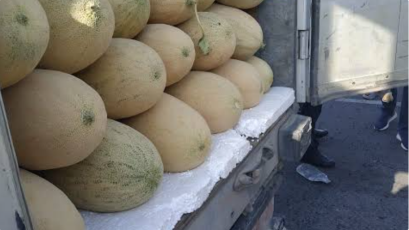 Кыргызстан Казакстанга сертификаты жок 1,7 тонна коонду кайтарды