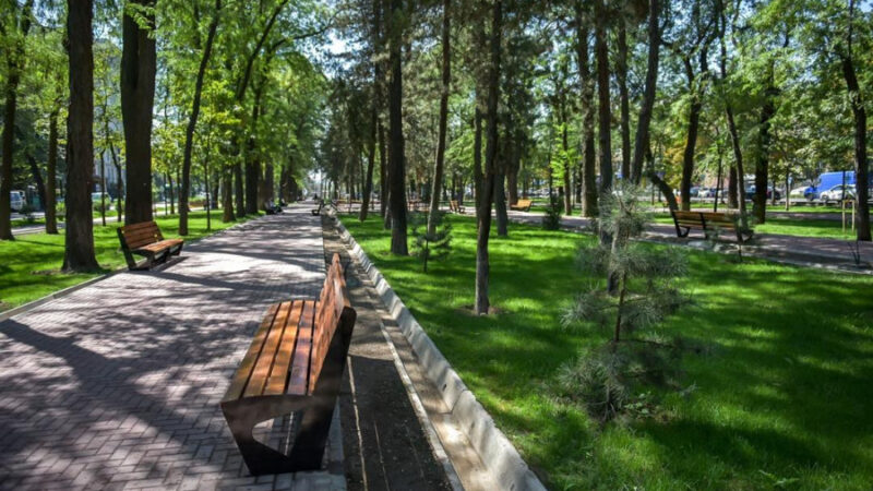 Айбек Жунушалиев сейил бактарда иттерди сейилдетүүгө атайын жайларды караштырууну тапшырды