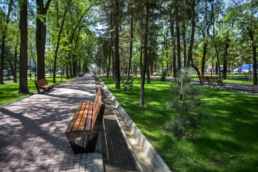 Жунушалиев сейил бактарда иттерди сейилдетүүчү жайларды караштырууну тапшырды