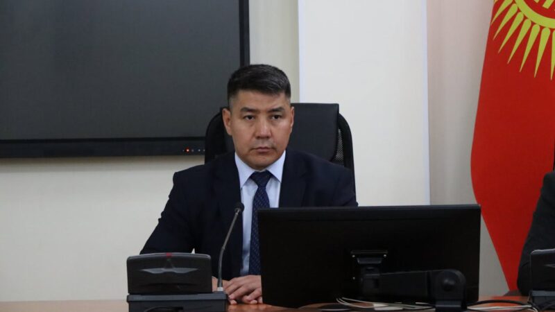 Саламаттык сактоо министринин жаңы орун басары дайындалды