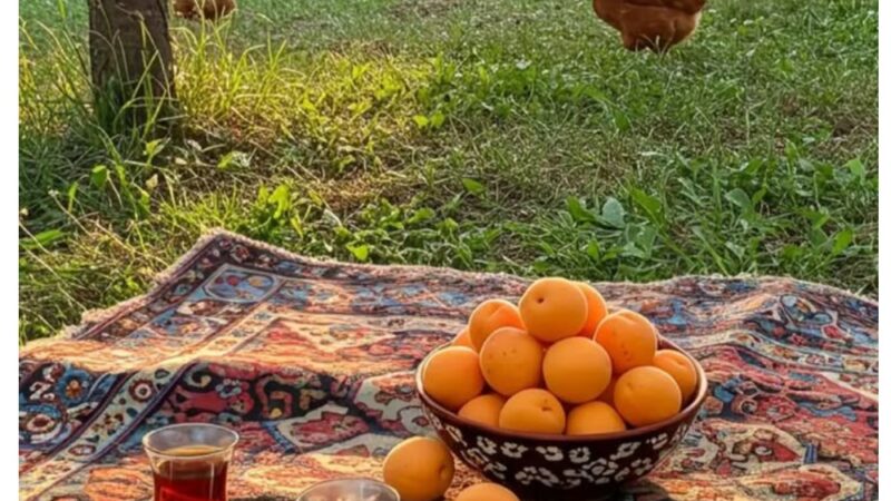 20-августка карата аба ырайы. Кутман таң, катталуучум!