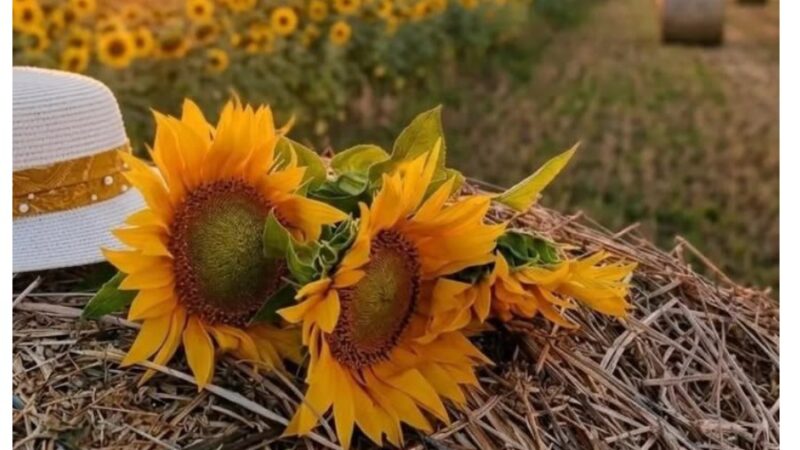 18-августка карата аба ырайы. Кутман таң окурманым!