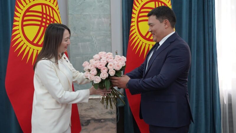 Кыргызстан менен Япония айлана-чөйрөнү коргоодо кызматташуунун келечектүү багыттарын талкуулашты