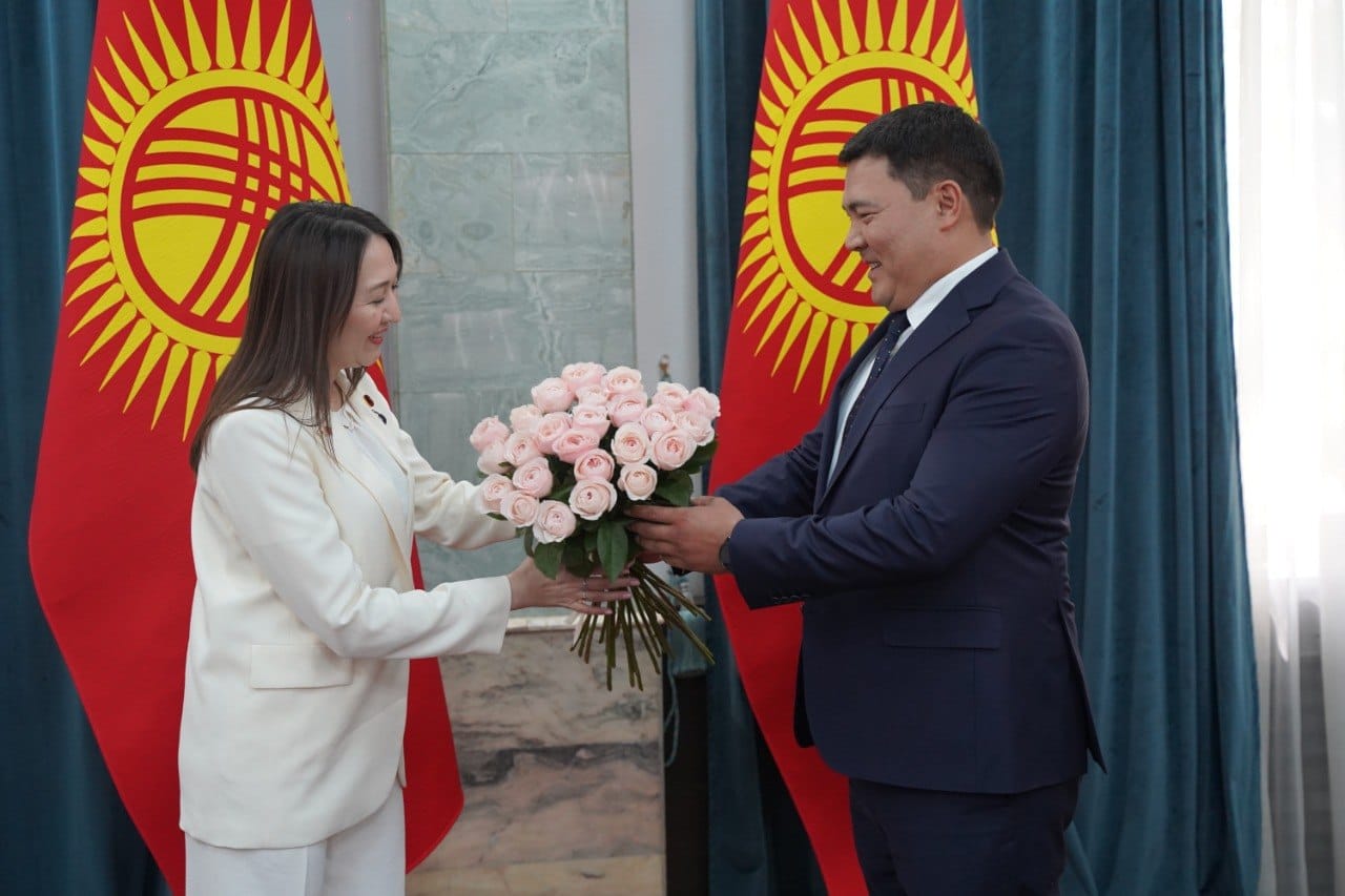 Кыргызстан менен Япония айлана-чөйрөнү коргоодо кызматташуунун келечектүү багыттарын талкуулашты