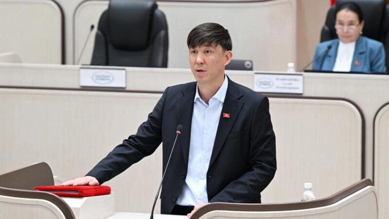 Эрулан Кокулов: Мэр, министрлер блогер болуп кетти