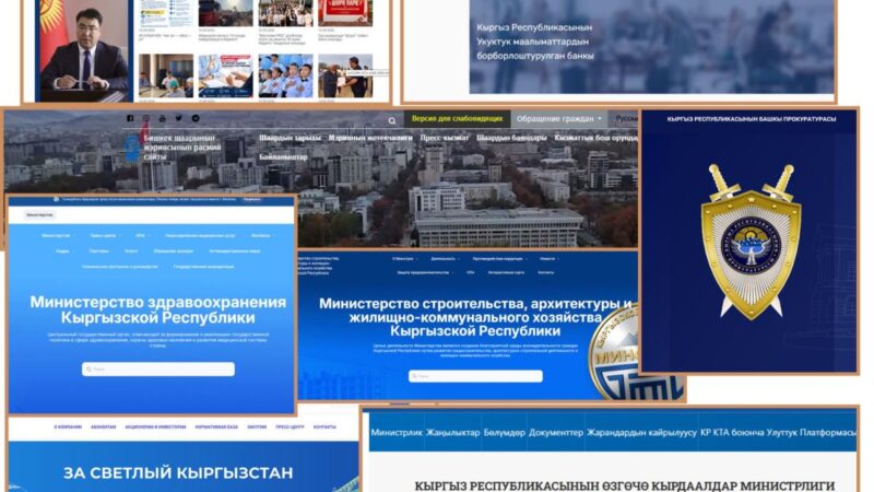 Акыйкатчы: Мамлекеттик органдардын сайттары майыптыгы бар адамдарга колдонууга ыңгайсыз