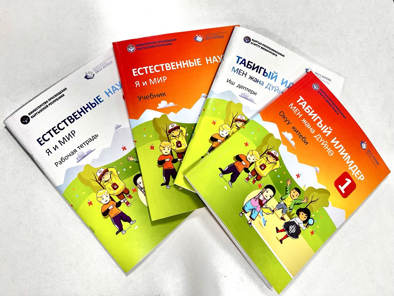 Окуу китептеринин базарда сатылышы боюнча кылмыш иши козголду