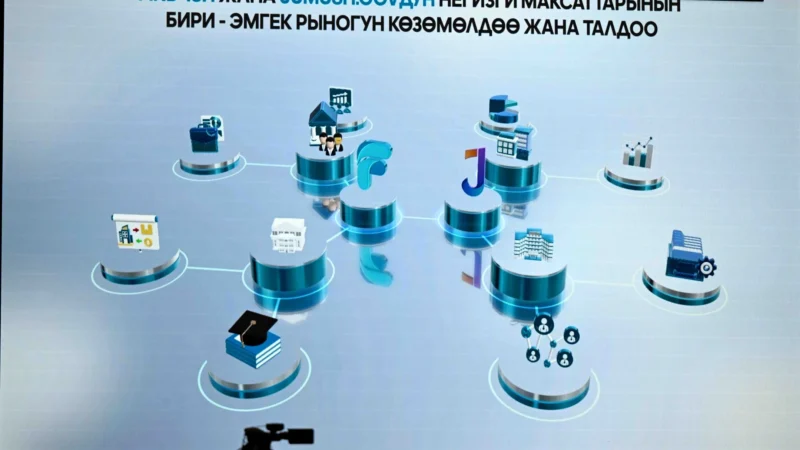 Жумуш издегендер үчүн Jumush.gov жана Find-ish санарип платформалары ишке кирди