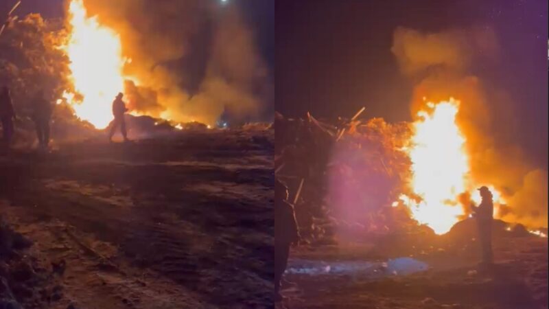 Мэрия полигондун аймагындагы өрт боюнча маалымат берди