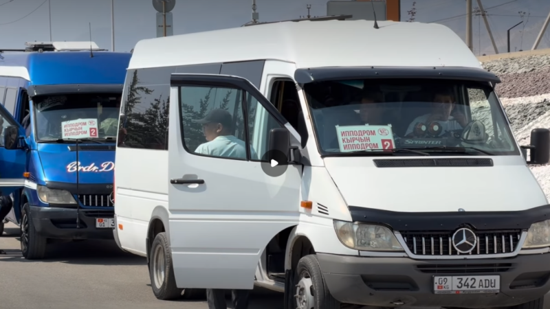 Кырчынга жеке унаалар кирбейт, конокторду акысыз автобустар ташыйт