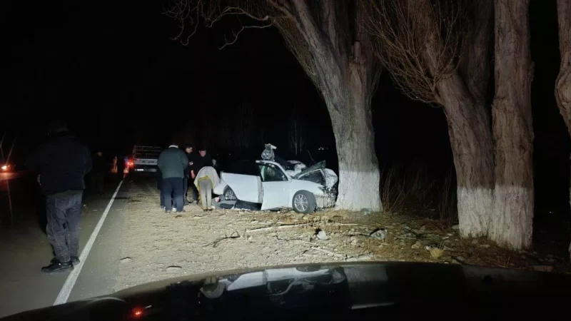 Токмокто айдоочу эки аялды өлтүрө сүзүп кетти