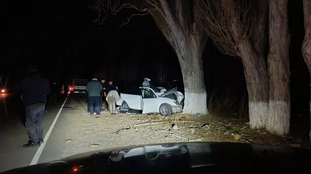 Токмокто айдоочу эки аялды өлтүрө сүзүп кетти