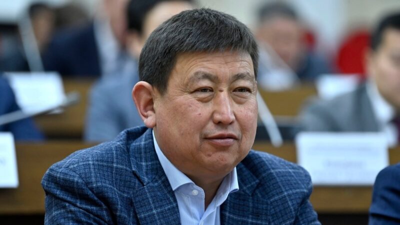 Парламентте картөшкөнүн баасы жана ооруканалардын курулушу боюнча маселе көтөрүлдү 
