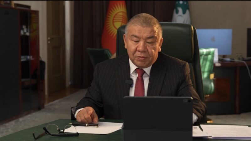 Садыр Жапаров ак ниет салык төлөөчүлөрдү коргоо боюнча Жарлыкка кол койду