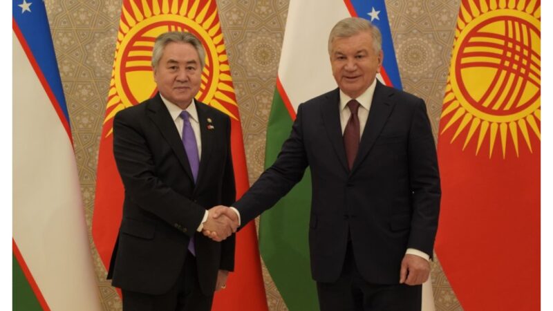 Жээнбек Кулубаевди өзбек лидери Шавкат Мирзиёев кабыл алды