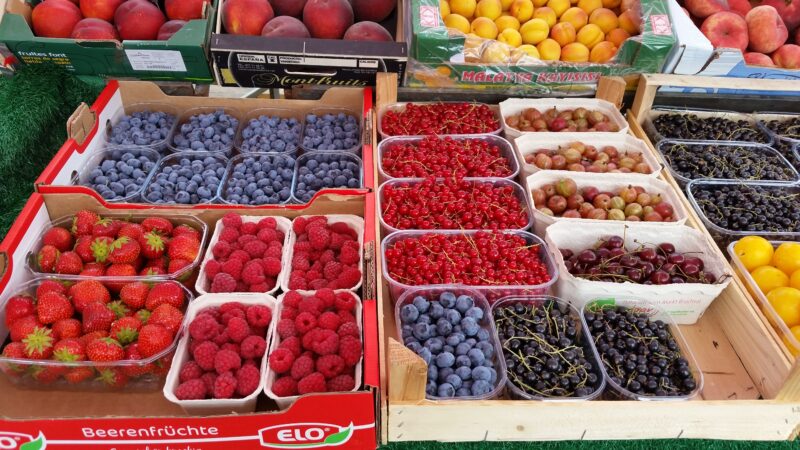 Кыргыз мөмө-жемиштери Европага, Араб өлкөлөрүнө чыгарууга даярдалат